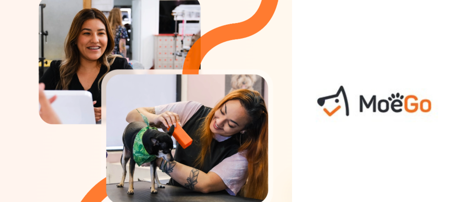 Pet grooming software MoeGo secures $24m Series A funding to revolutionize pet care economy
